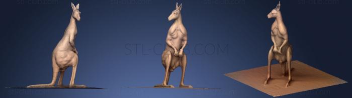 3D модель Статуя кенгуру (STL)